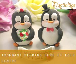 Abondant wedding (Eure-et-Loir, Centre)