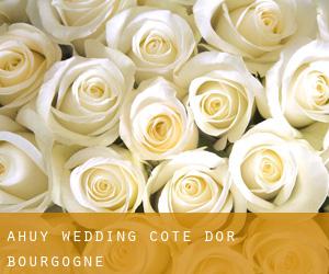 Ahuy wedding (Cote d'Or, Bourgogne)