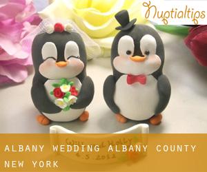 Albany wedding (Albany County, New York)