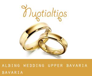 Albing wedding (Upper Bavaria, Bavaria)
