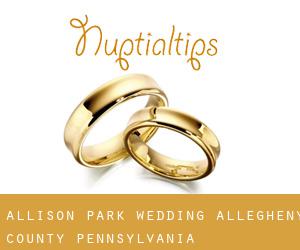 Allison Park wedding (Allegheny County, Pennsylvania)
