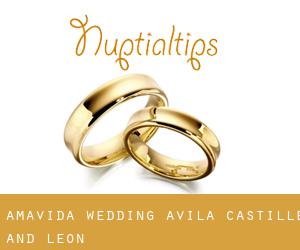 Amavida wedding (Avila, Castille and León)