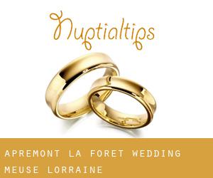 Apremont-la-Forêt wedding (Meuse, Lorraine)
