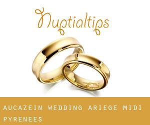 Aucazein wedding (Ariège, Midi-Pyrénées)