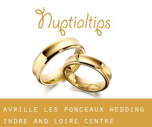 Avrillé-les-Ponceaux wedding (Indre and Loire, Centre)