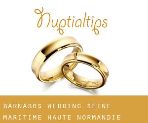 Barnabos wedding (Seine-Maritime, Haute-Normandie)