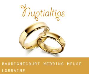 Baudignécourt wedding (Meuse, Lorraine)