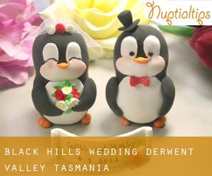 Black Hills wedding (Derwent Valley, Tasmania)