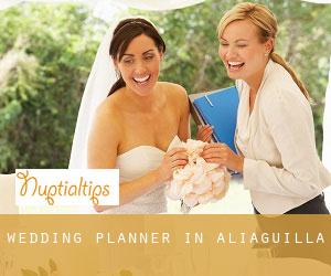 Wedding Planner in Aliaguilla