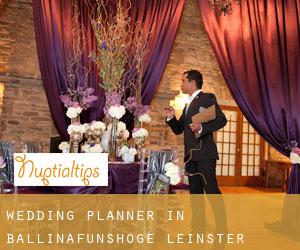 Wedding Planner in Ballinafunshoge (Leinster)