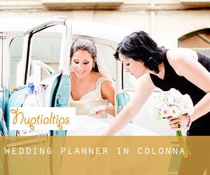 Wedding Planner in Colonna