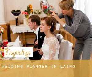 Wedding Planner in Laino