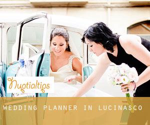 Wedding Planner in Lucinasco