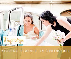 Wedding Planner in Springsure