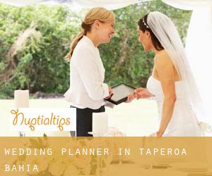 Wedding Planner in Taperoá (Bahia)