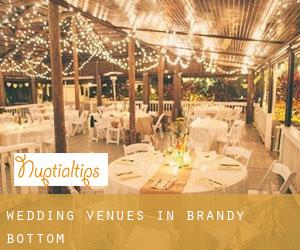 Wedding Venues in Brandy Bottom