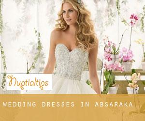 Wedding Dresses in Absaraka