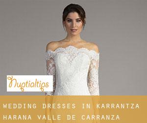 Wedding Dresses in Karrantza Harana / Valle de Carranza