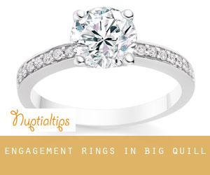 Engagement Rings in Big Quill