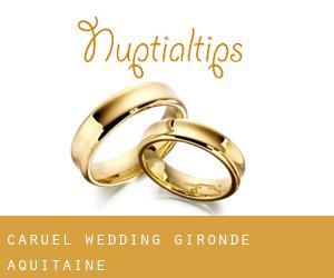 Caruel wedding (Gironde, Aquitaine)