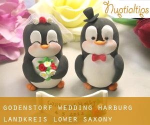 Gödenstorf wedding (Harburg Landkreis, Lower Saxony)