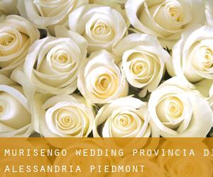 Murisengo wedding (Provincia di Alessandria, Piedmont)