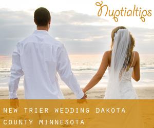 New Trier wedding (Dakota County, Minnesota)