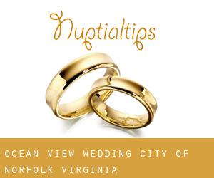 Ocean View wedding (City of Norfolk, Virginia)