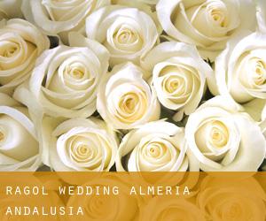 Rágol wedding (Almeria, Andalusia)