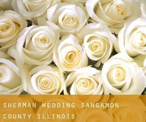 Sherman wedding (Sangamon County, Illinois)